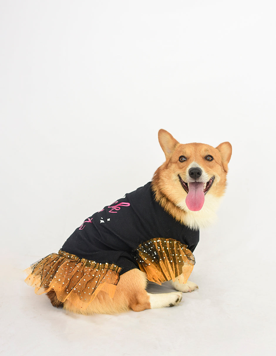 TRICK OR TREAT | Playerita