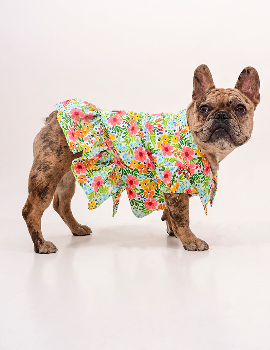 FLOWERS TO YOU Camisa Vestido para Perritas – DOGTLAN