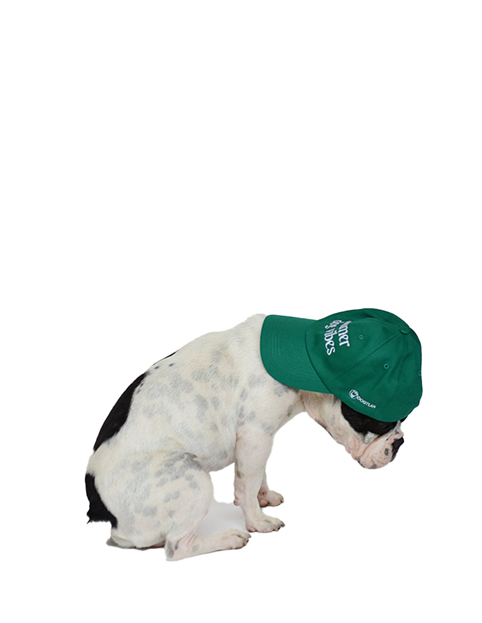 SUMMER DOG VIBES | Gorra Dog Mom Accesories