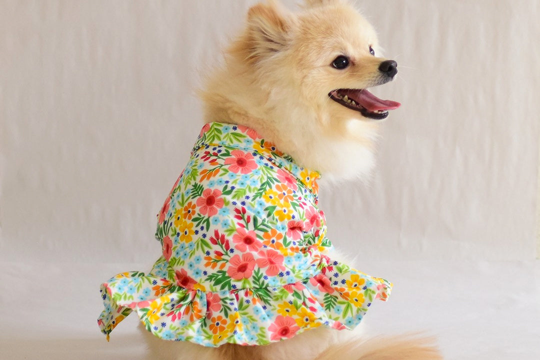 Moda para Perros: Tendencias Primavera-Verano