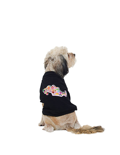 MX DE MIS AMORES | Playerita