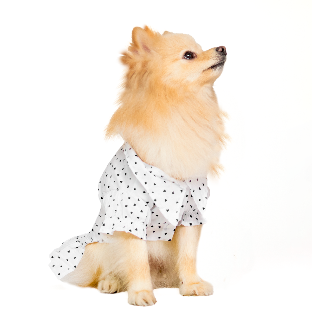 SCRUNCHIE HEARTS | Vestido