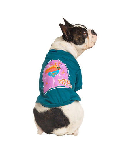 DOGS & APEROL SPRITZ | Playerita