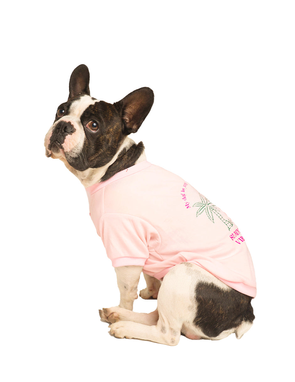 SUMMER DOG VIBES | Playerita