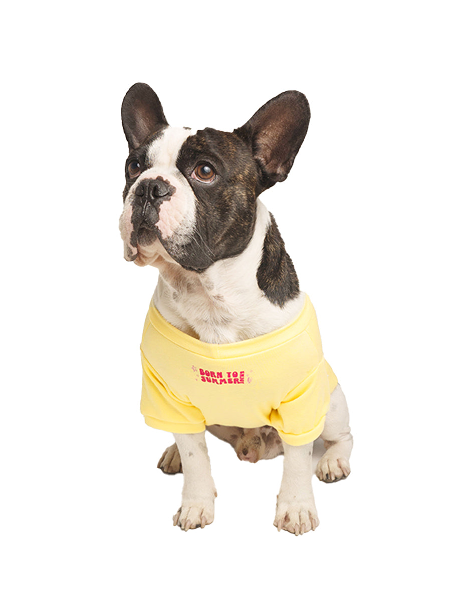 BORN TO ENJOY SUMMER | Playerita