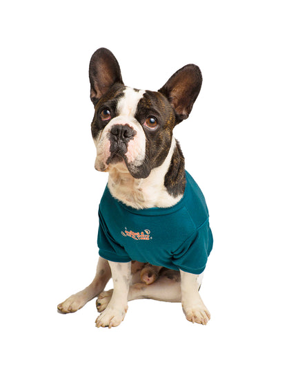 SUMMER DOG VIBES ONLY | Match completo de playeras