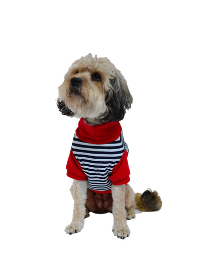 SANTA'S BLUE SQUISHY | Sudadera