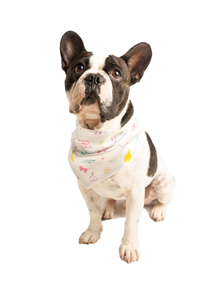 SUMMER LOVE | Bandana
