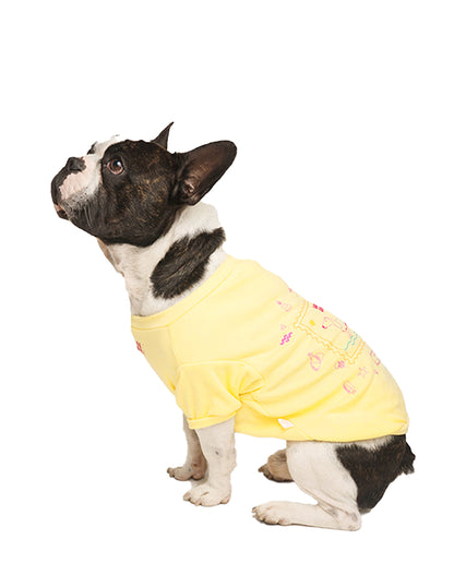 BORN TO ENJOY SUMMER | Playerita