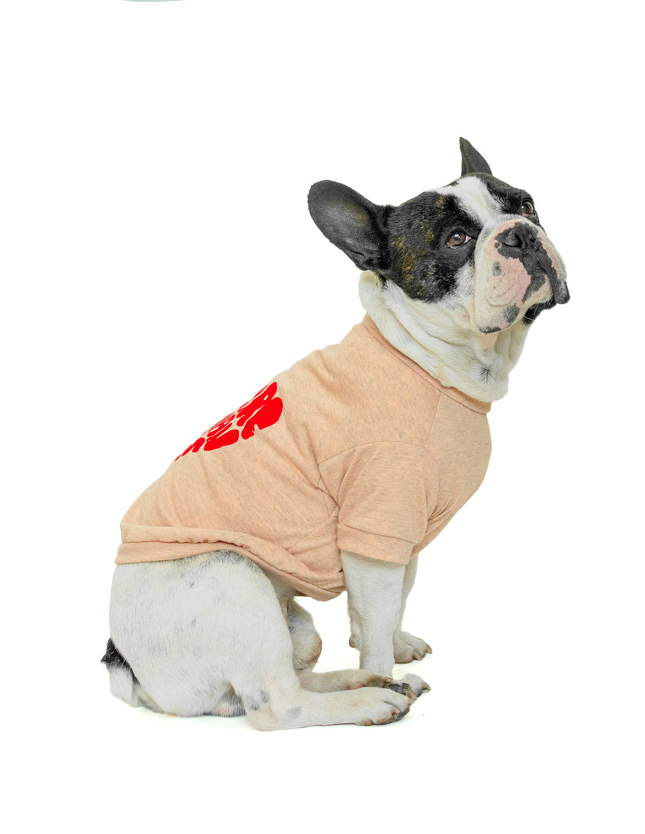 DON´T CARE | Playerita