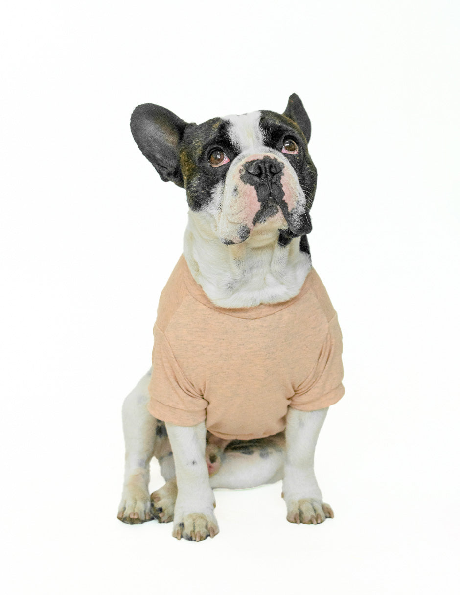 DON´T CARE | Playerita