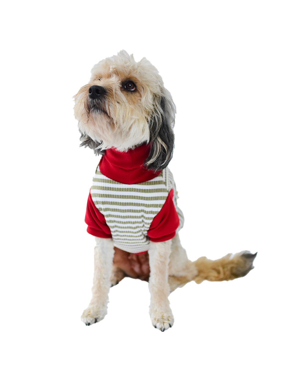 SANTA'S GREEN SQUISHY | Sudadera