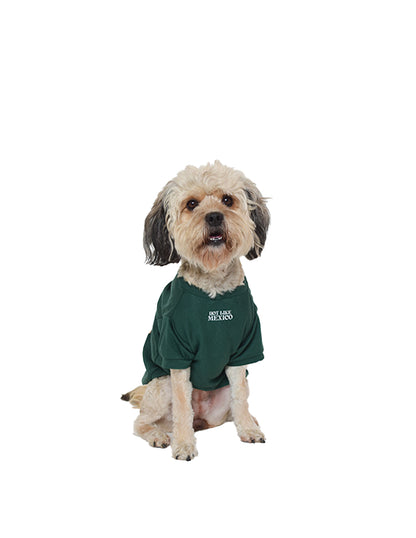 HOT LIKE MEXICO | Playerita