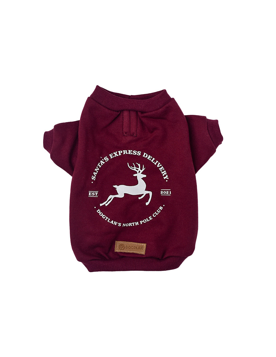 SANTA´S EXPRESS DELIVERY | Sudaderas