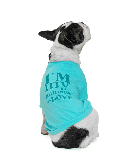 MY HUMAN'S ONLY LOVE AQUA | Playerita