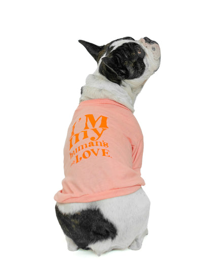 NO BOYFRIEND YET | Match completo de playeras