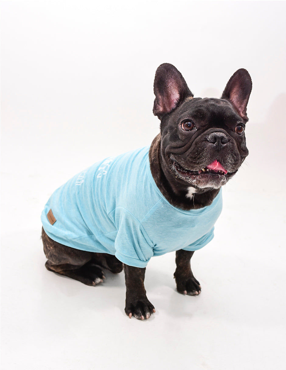 HERE COMES THE SUN | Playerita