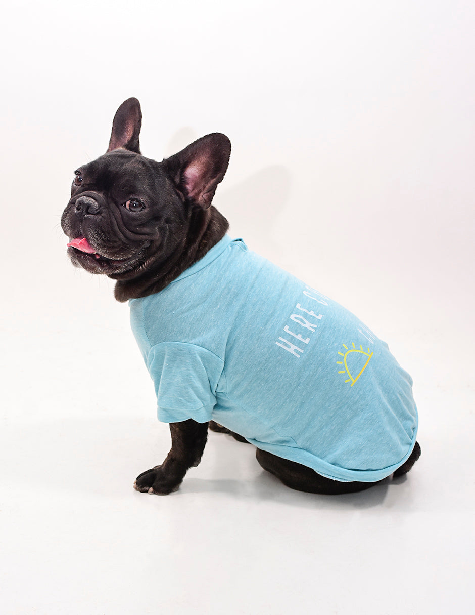 HERE COMES THE SUN | Playerita