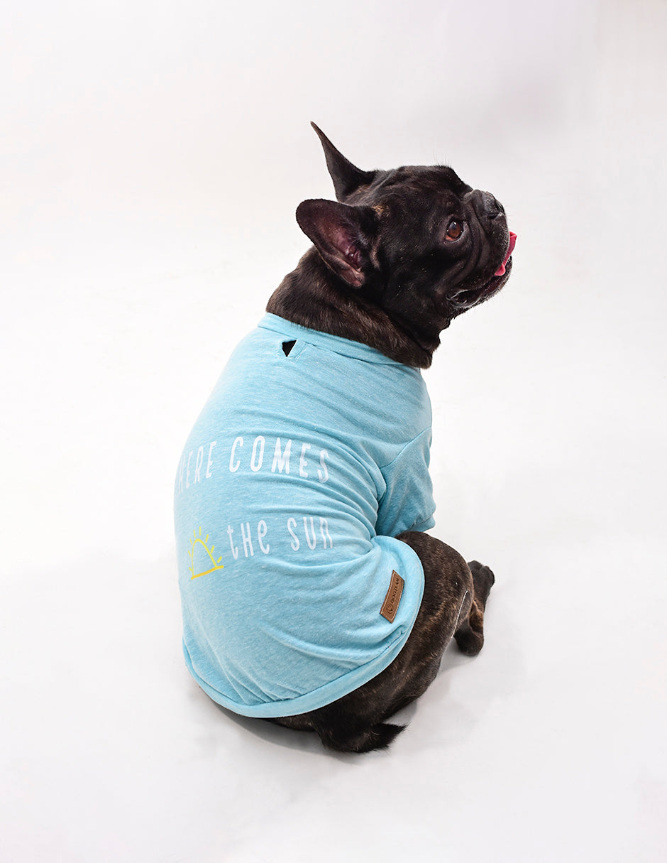 HERE COMES THE SUN | Playerita