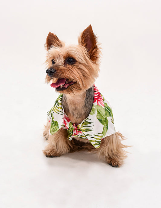 SPRING VIBES | Camisa