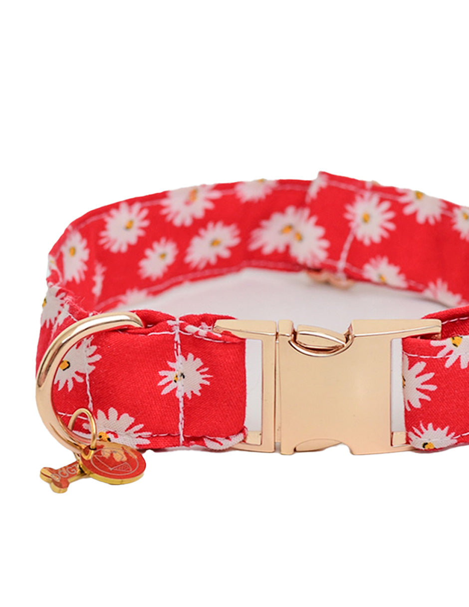 MARGARITAS ROJAS | Set Collar, Correa & Bandana