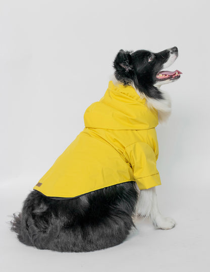 GOTITAS AMARILLO | IMPERMEABLE