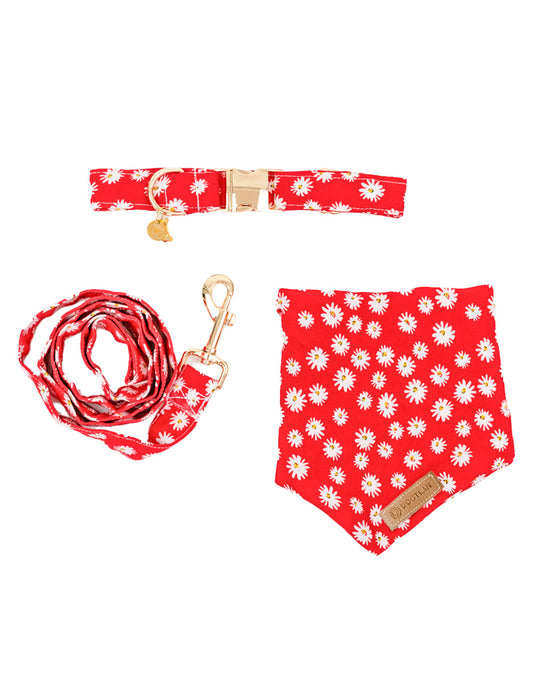 MARGARITAS ROJAS | Set Collar, Correa & Bandana