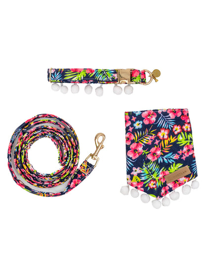 MINA | Set Collar, Correa & Bandana