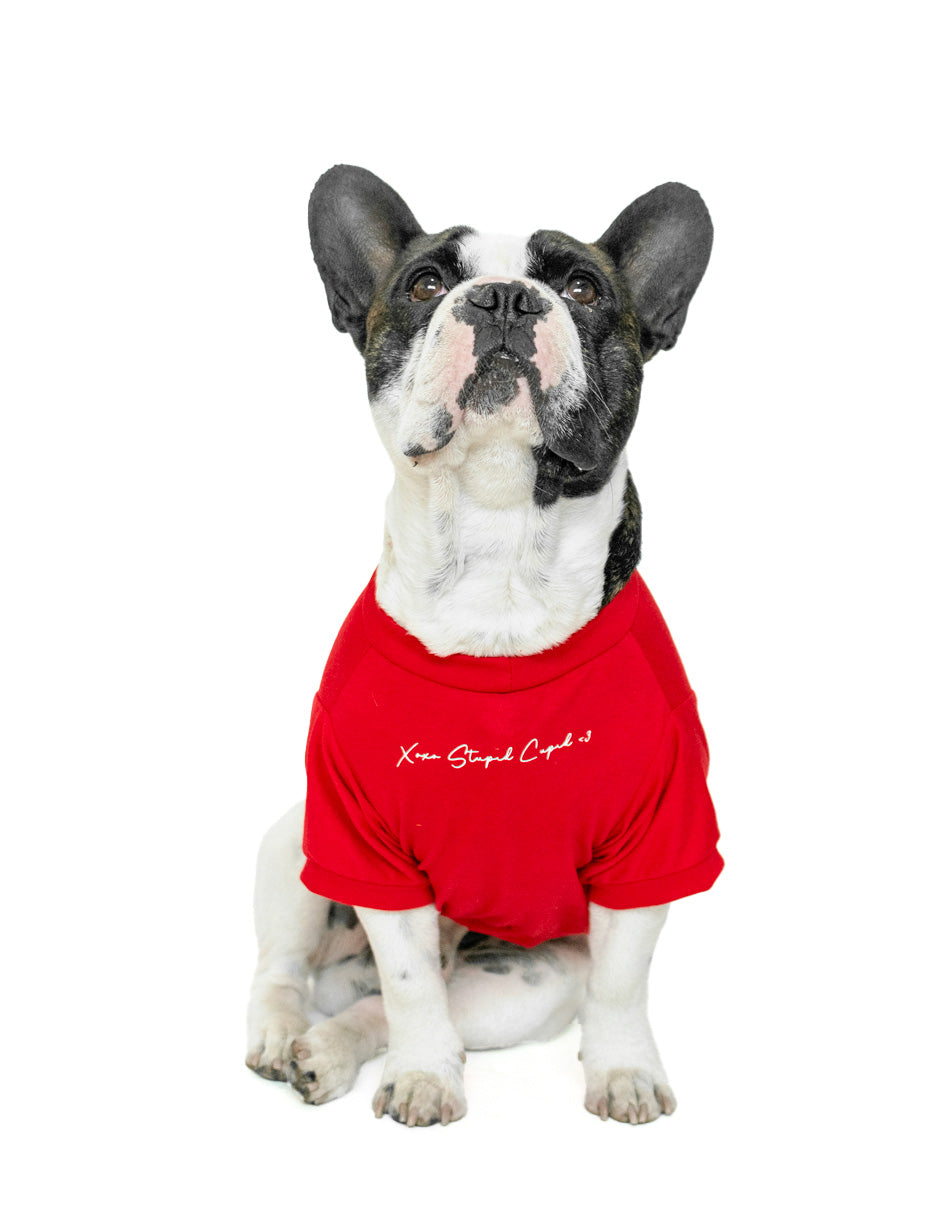 STUPID CUPID | Playerita