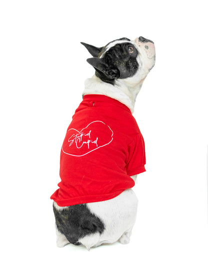 STUPID CUPID | Playerita