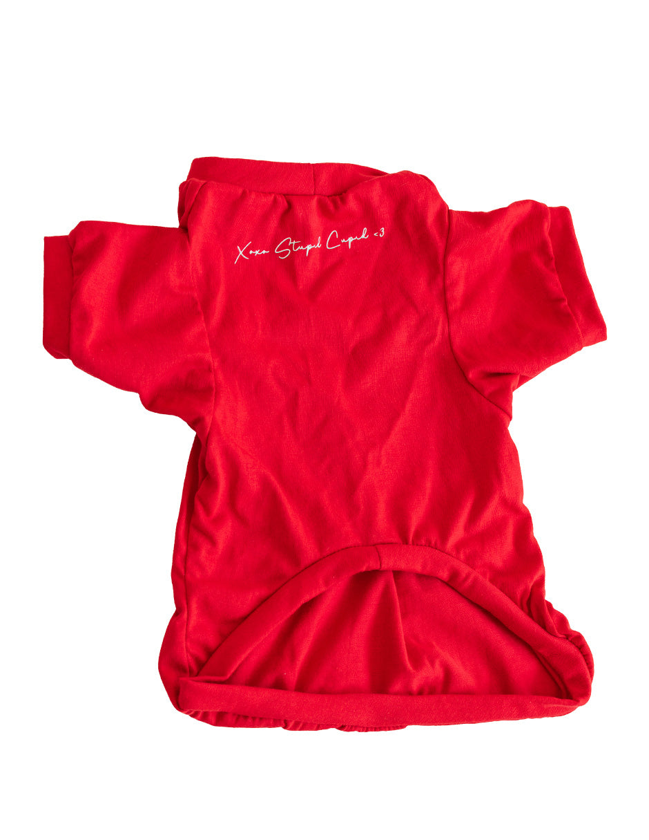 STUPID CUPID | Playerita