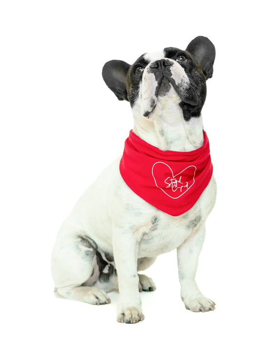 STUPID CUPID | Bandana