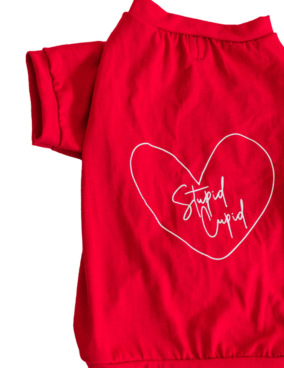 STUPID CUPID | Playerita