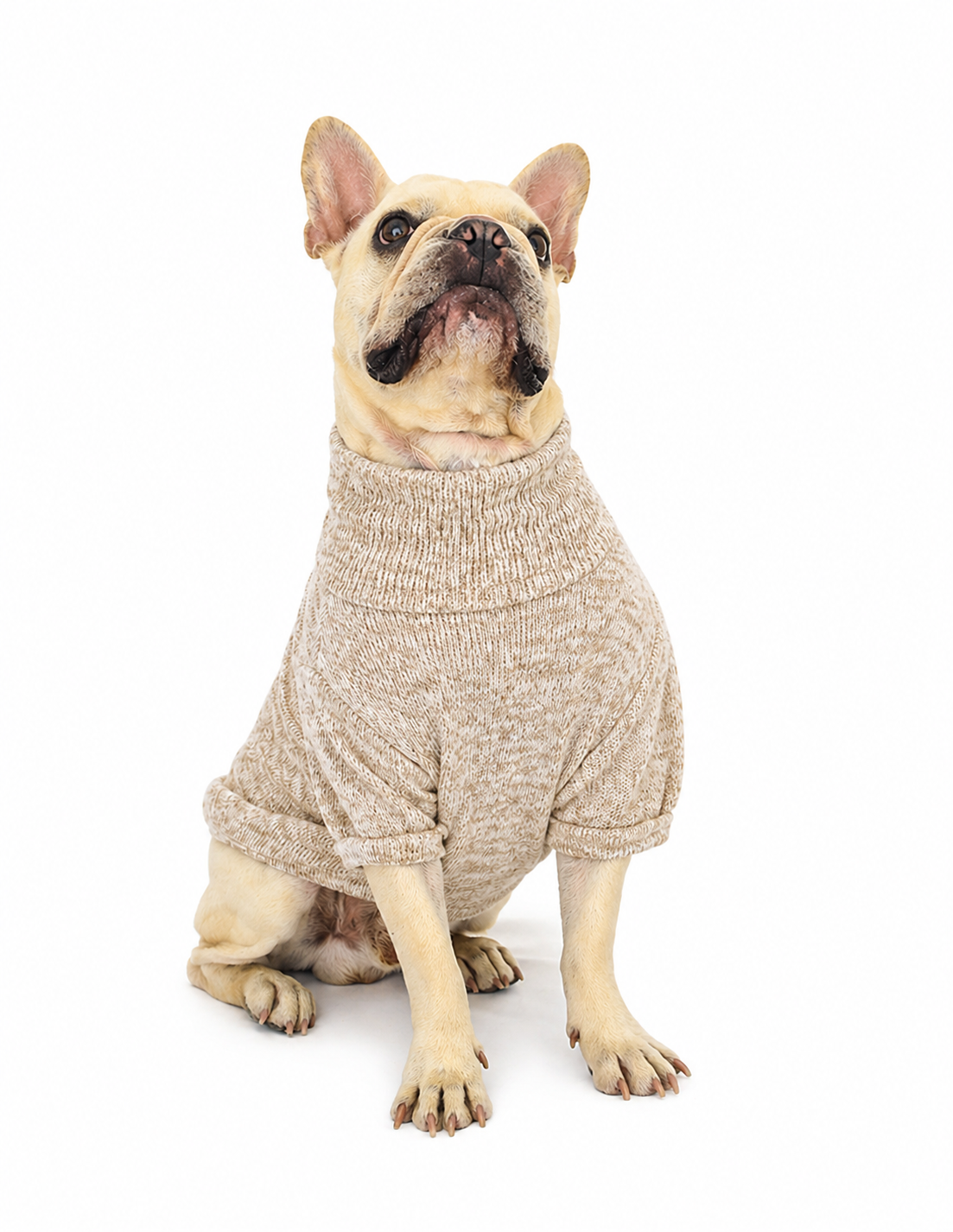 BEIGE JASPE | Suetercito