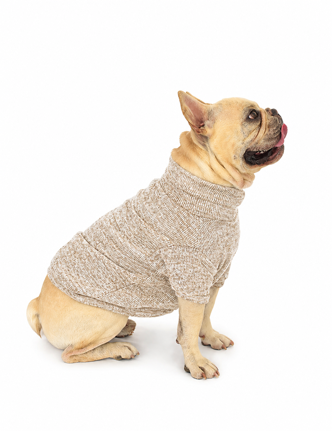 BEIGE JASPE | Suetercito