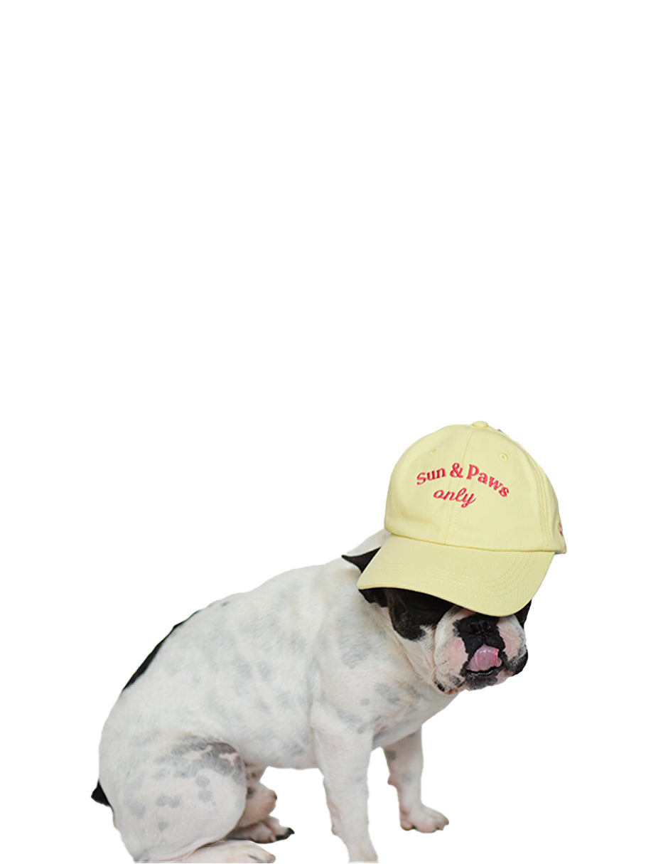 SUN & PAWS ONLY | Gorra Dog Mom Accesories