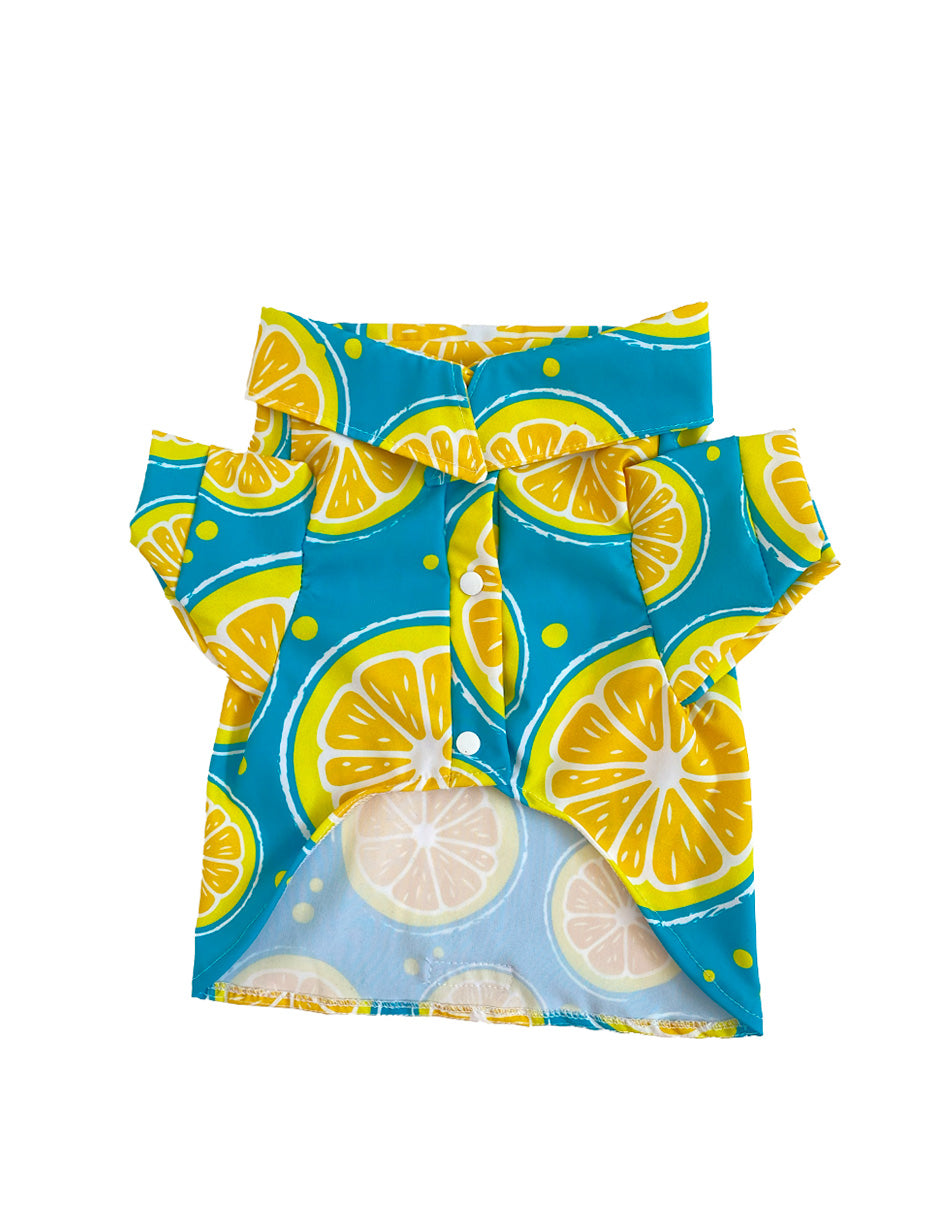 LEMON SQUEEZE | Camisas