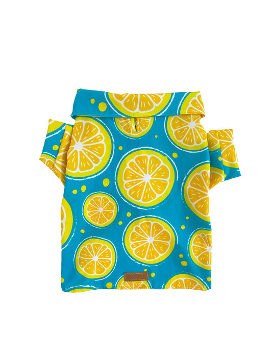 LEMON SQUEEZE | Camisas