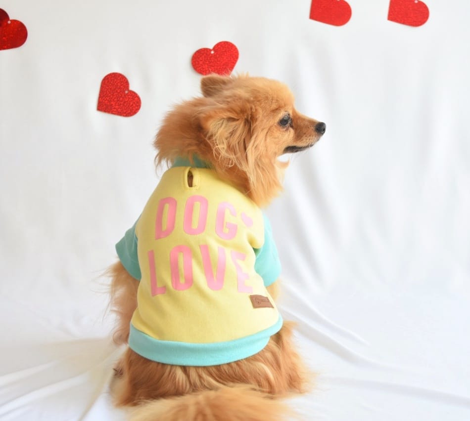 DOG LOVE | Playerita