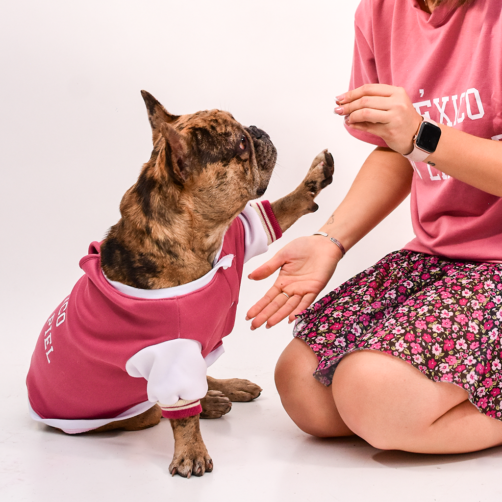 premios para perro, premios deshidratados para perro, premios saludables para perro, premios de pollo para perro, snacks para perros, snacks deshidratados para perro, premios para gato, premios para gatitos, snacks naturales para perro, premios naturales para perro